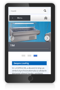 licofrig.ro site create de inovativ - varianta mobil