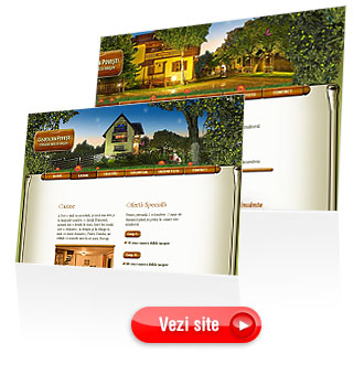 Site www.casutadinpovesti.ro