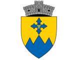 Logo Primăria Fundata