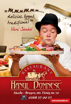 Reclamă verticală Hanul Domnesc