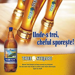 Bere Trei Stejari